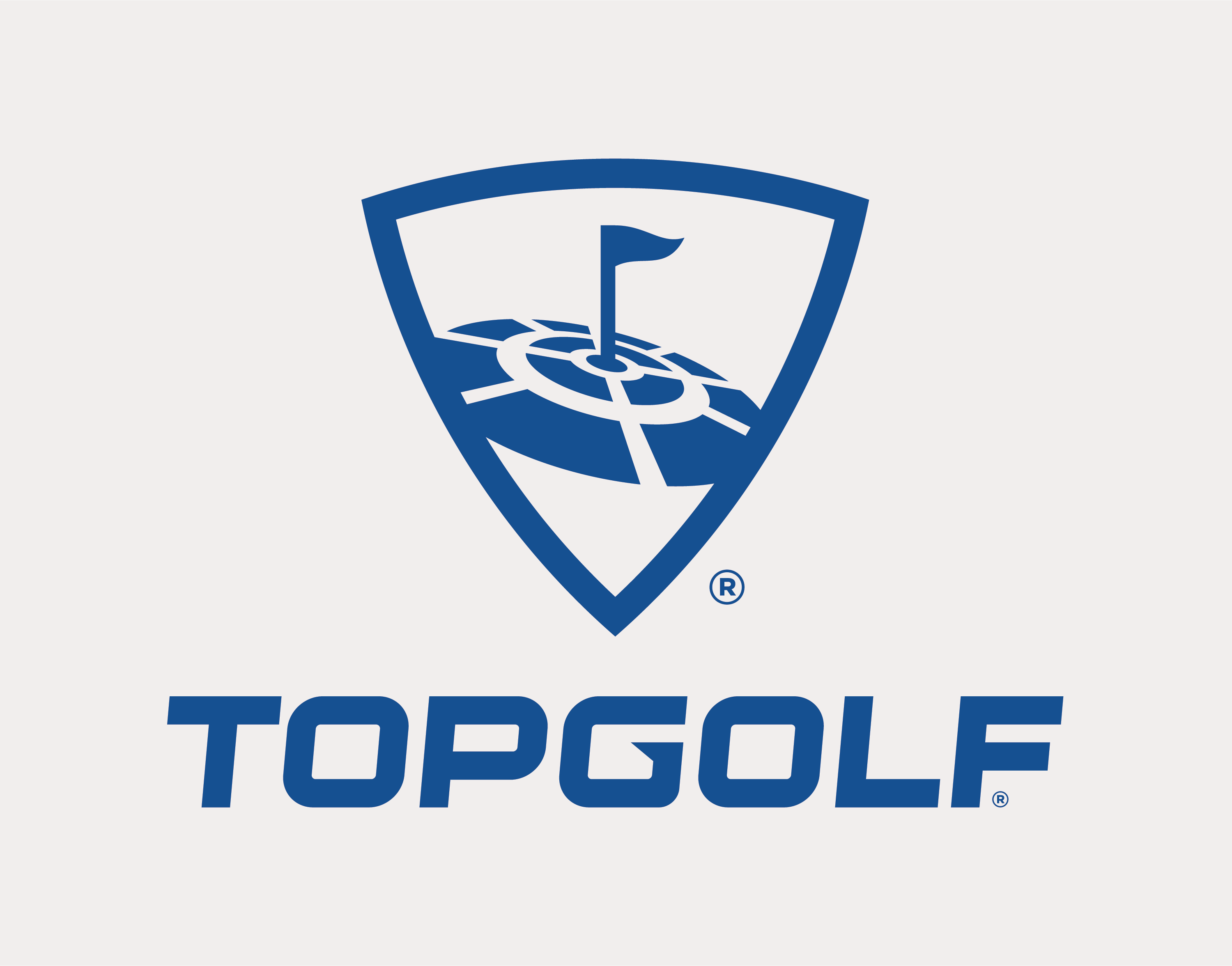 tg-logo-vertical-blue.png