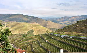 Hills of Portugal